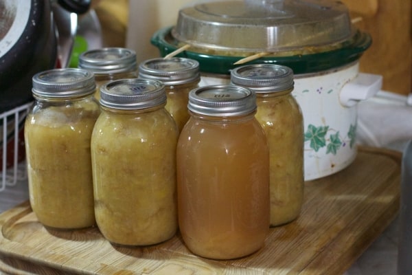 Homemade canned applesauce