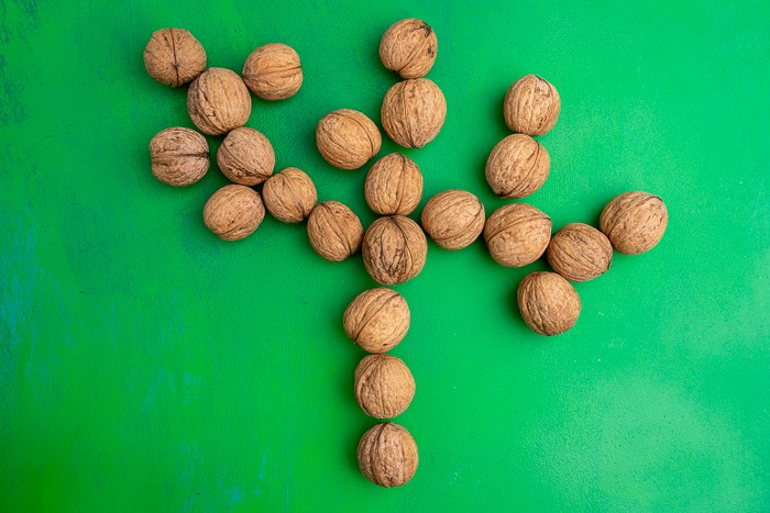 Shelled walnuts forming a walnut tree