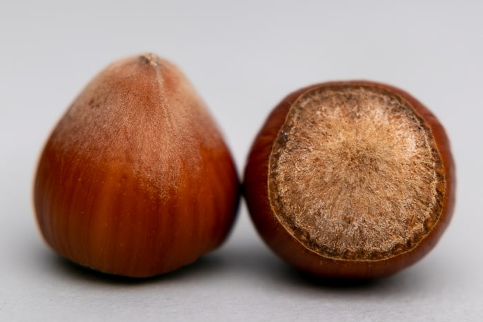 Two hazelnuts side by side