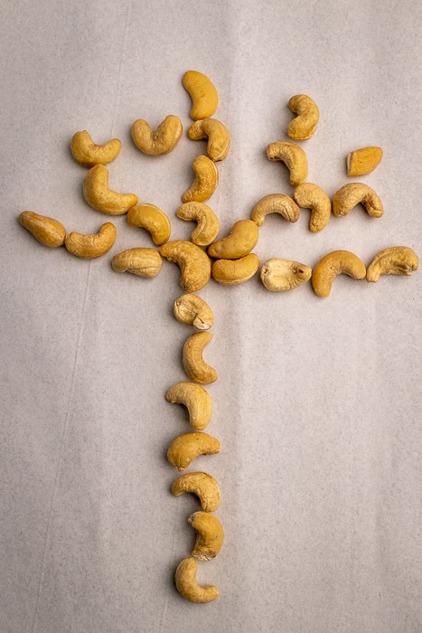 Cashews forming a cashew tree